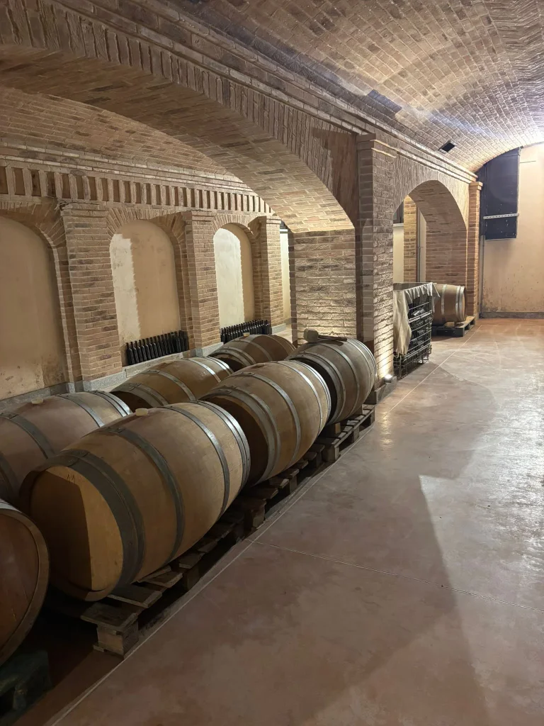 Barrique in Cantina